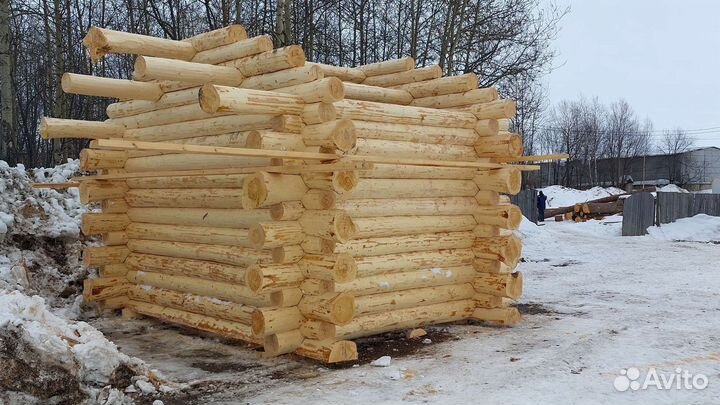 Срубы из Кедра и Сосны, лес зимней вырубки