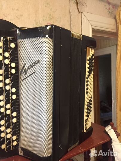 Баян тульский