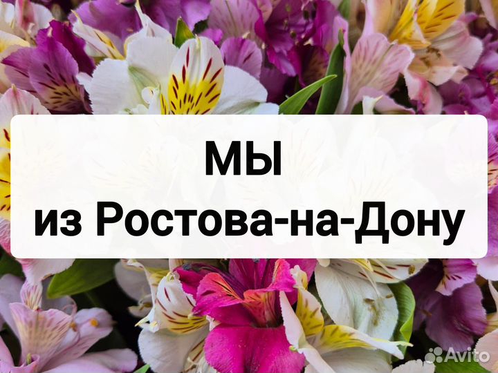 Шаржи на заказ по фото на холсте Ростов на Дону