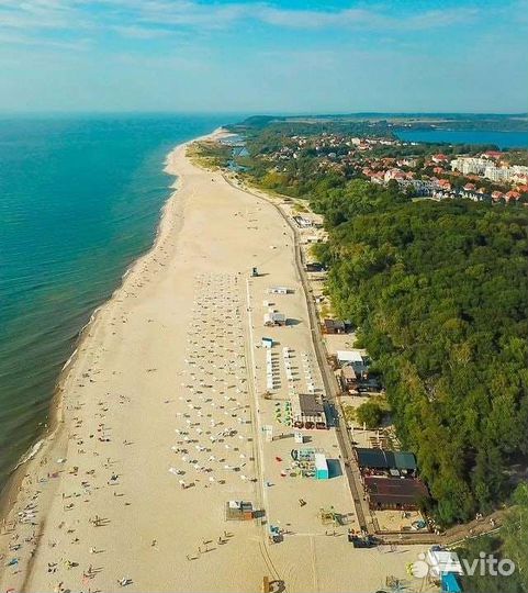 Экскурсия на Куршскую косу. Гид в Калининграде