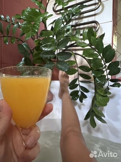 Сбрось лишнее