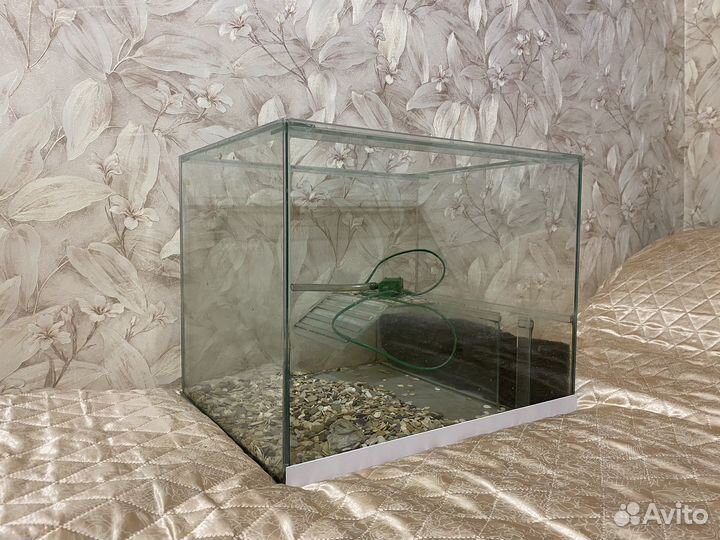Аквариум/Террариум