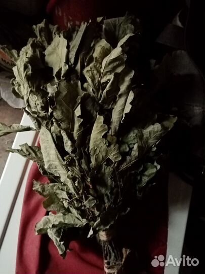 Веники дубовые