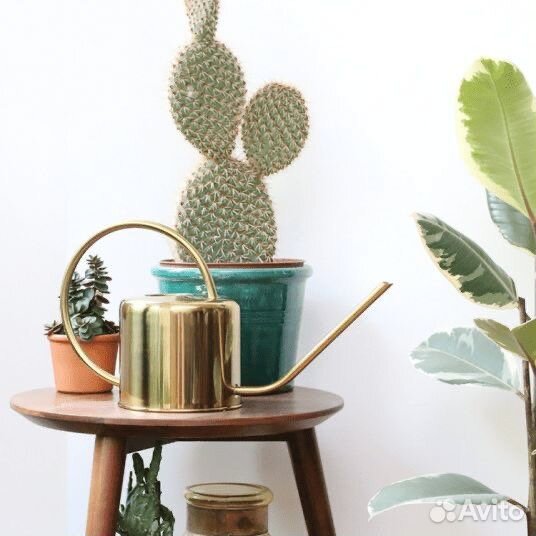 Лейка для цветов