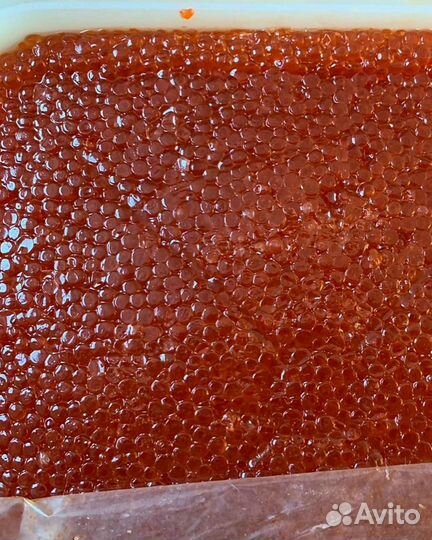 Икра Кеты опт