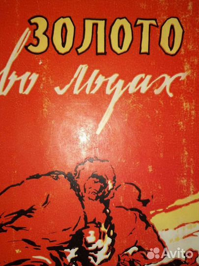 Коптев Золото во льдах, Бадигин