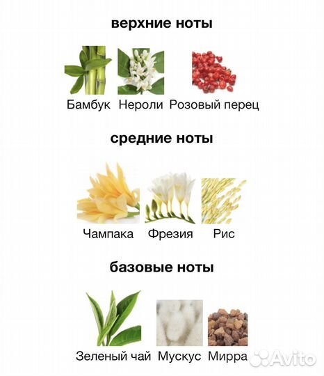 Обмен Champaca vs Osmanthus Ormonde Jayne EDP