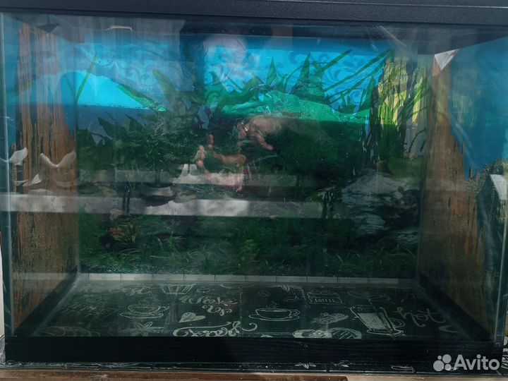 Аквариум