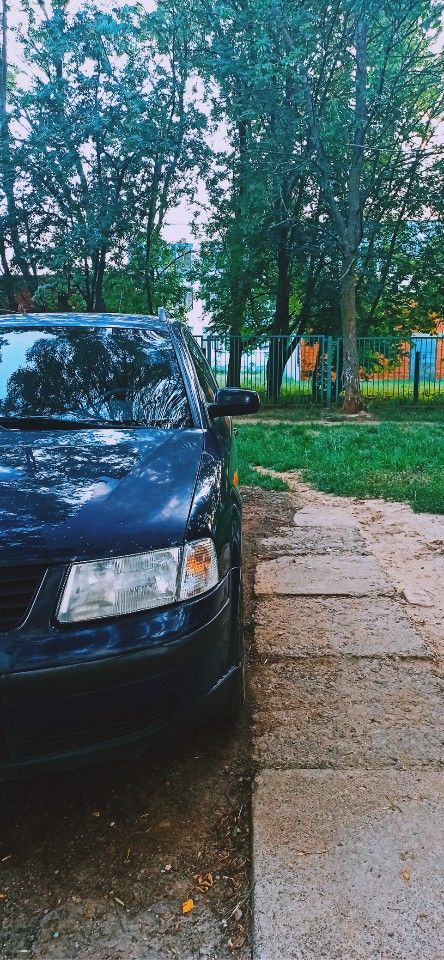 Volkswagen Passat: фото владельца