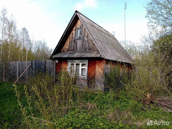 Продам пасеку