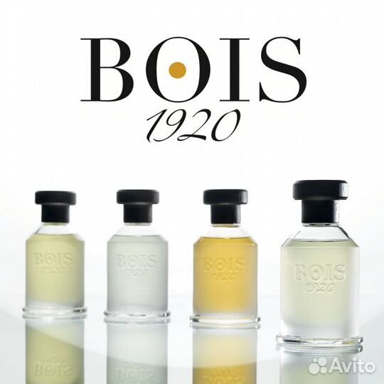 Bois 1920 (Rosa 23)