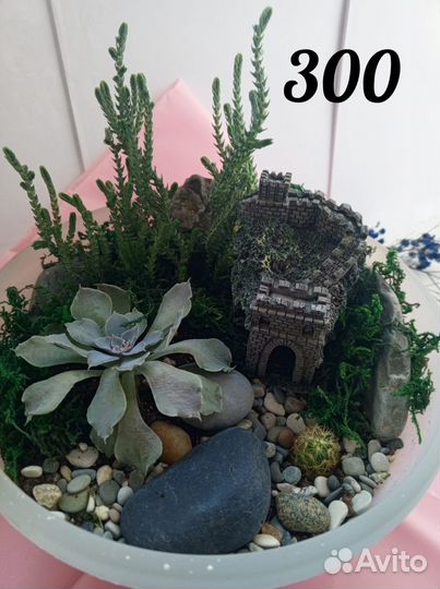 Флорариумы