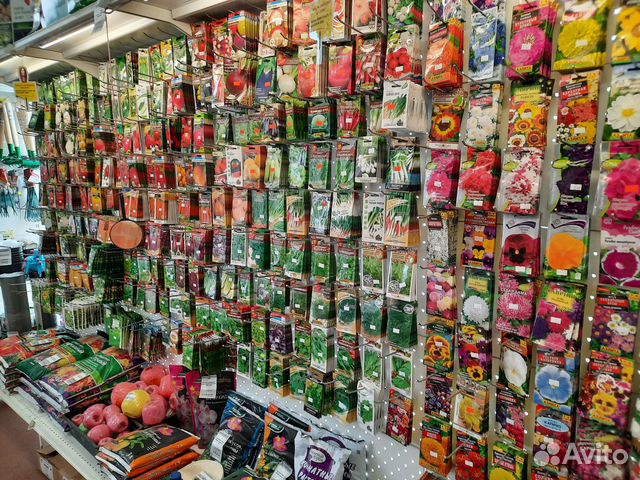 Семена для рассады