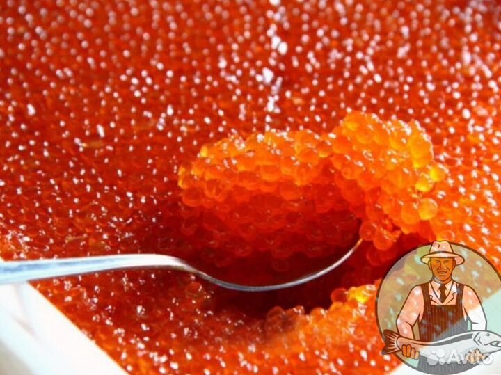 Икра кеты оптом с доставкой