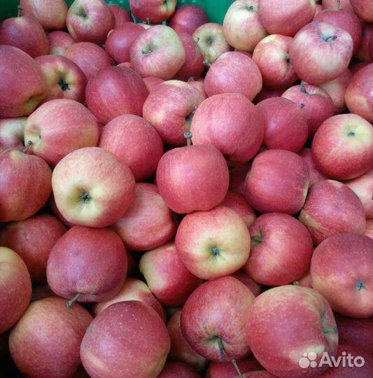 Яблоки оптом