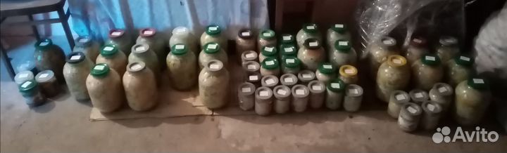 Грибы соленые