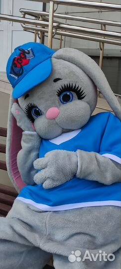 Костюмы аниматоров на любые праздники