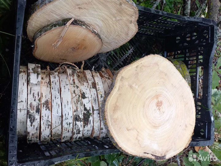 Спил, срез дерева, ствола