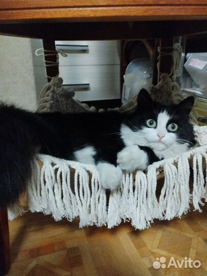 Лежанка,гамак для кошек