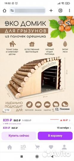 Морская свинка с клеткой