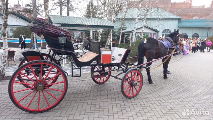 Карета фаэтон для лошади