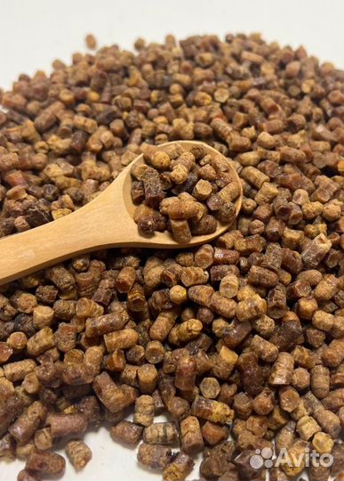 Перга Алтайская