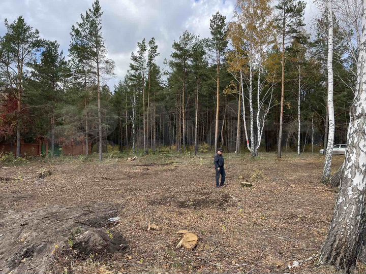 Участок 19 сот. (СНТ, ДНП)