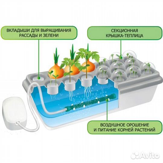 Чудо-грядка Здоровья клад
