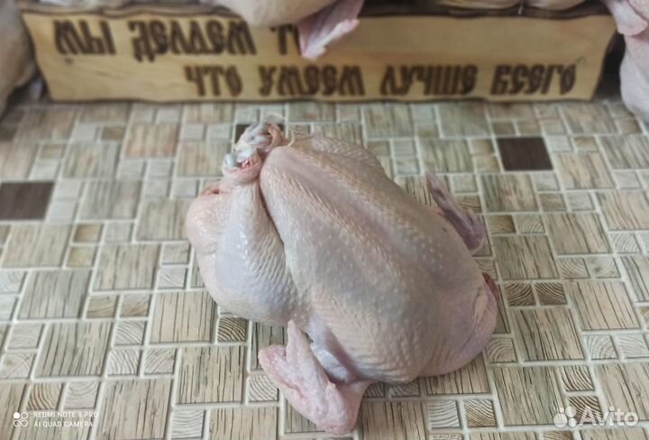 Куры бройлеры