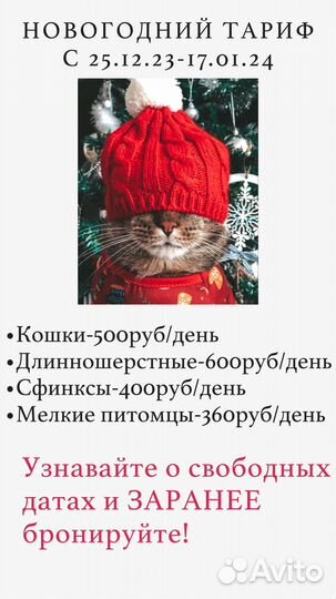 Передержка кошек. Зооняня. VIP Передержка котов