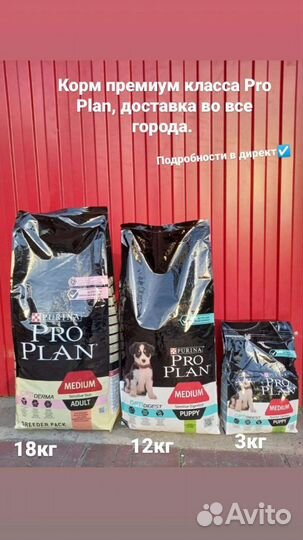 Корм для собак и кошек proplan