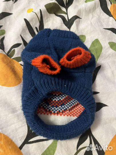 Одежда для животных