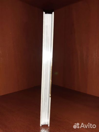 Мир игры Ghost of Tsushima