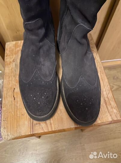 Carlo pazolini сапоги женские 39