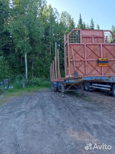 Полуприцеп контейнеровоз Maxilode ST30 4020 RS, 1995
