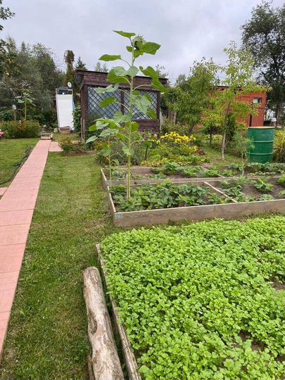 Дача 78 м² на участке 5 сот.