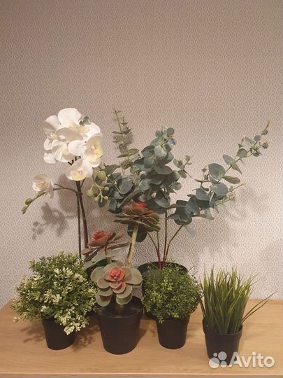 Искусственные цветы, растения, IKEA, Fejka