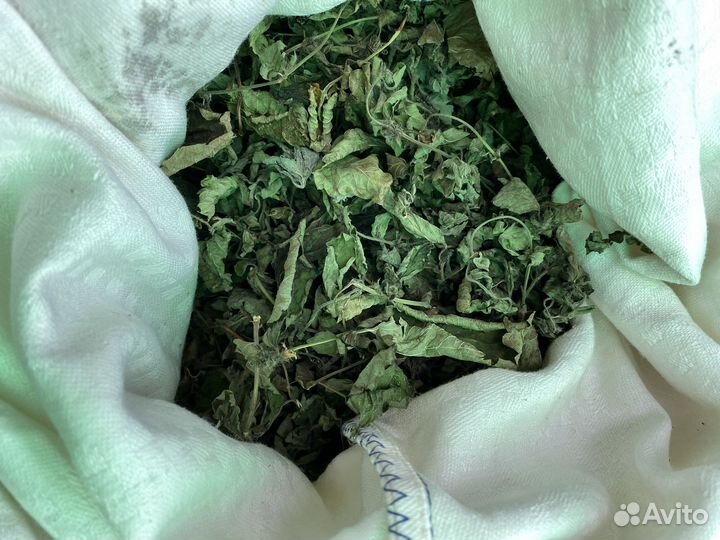 Мелисса сушеная