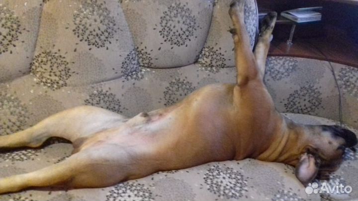 Бурбуль вязка