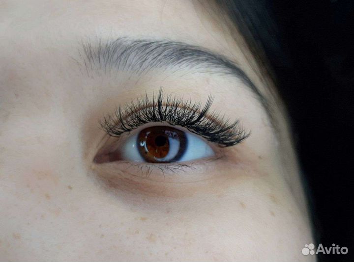 Наращивание ресниц брови