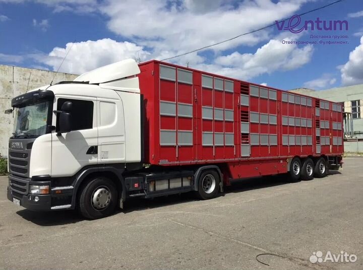 Перевозка животных по России