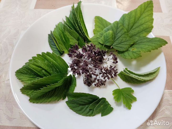 Чайный сбор