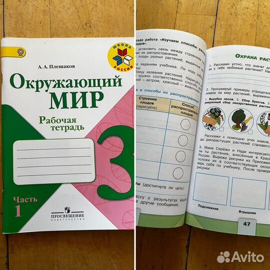 Рабочие тетради, тесты