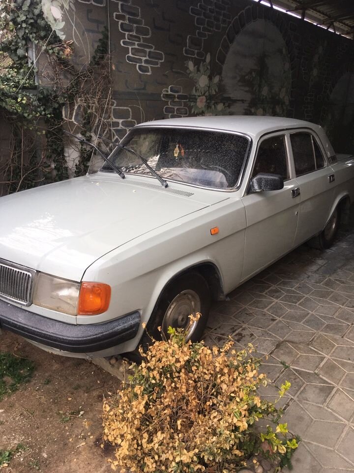 ГАЗ 31029 Волга: фото владельца