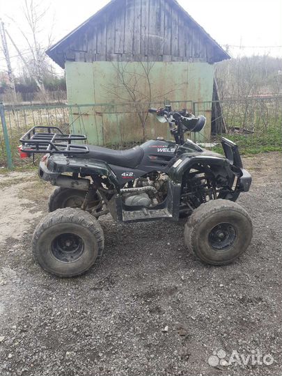 Wels125 ladoga