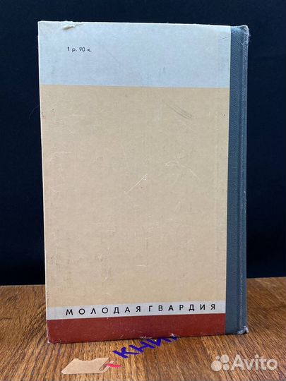 Леонардо да Винчи