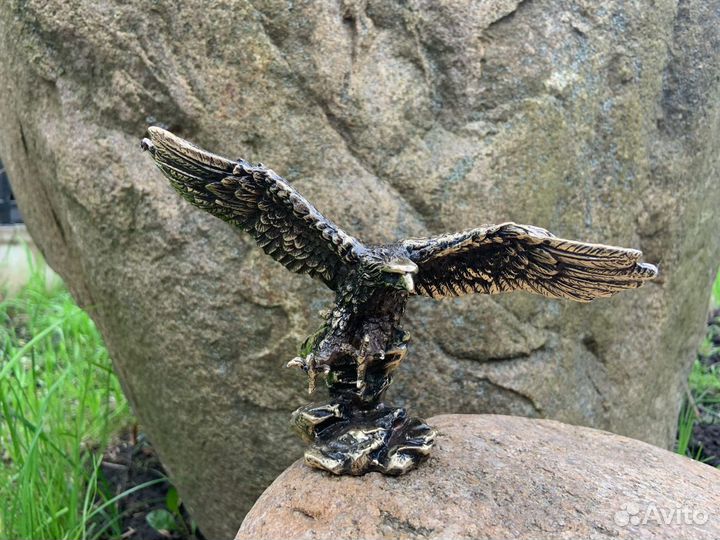 Орёл бронзовый