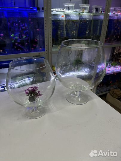 Аквариум круглый