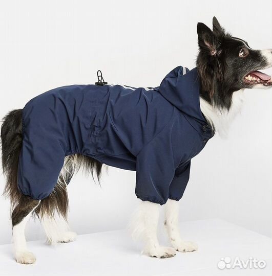 Дождевик для собаки