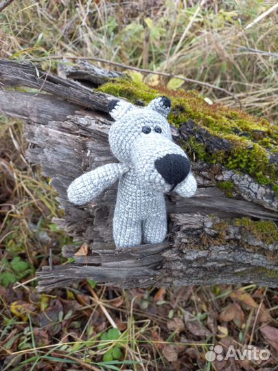 Волчок-серый бочок